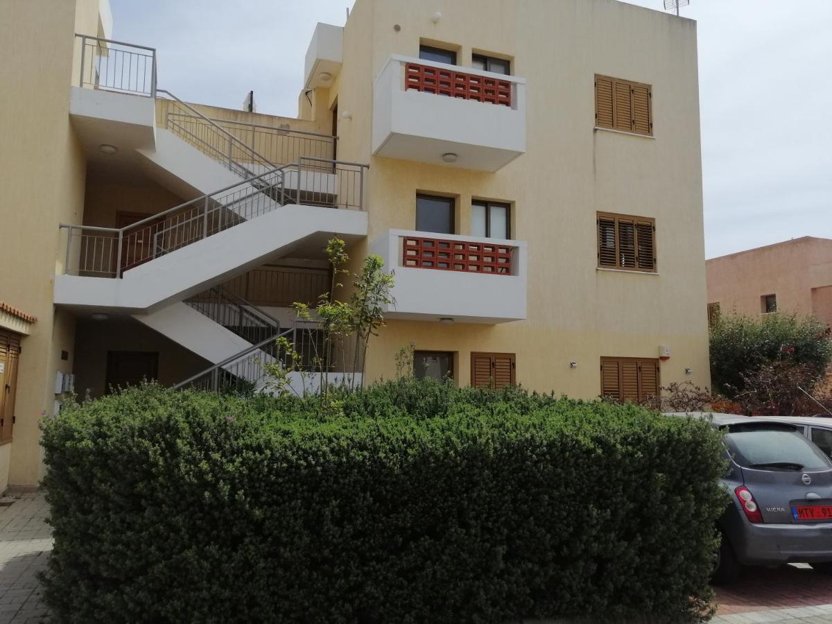 Dream Place For Relax, Sun And Sea All Year Round Paphos Eksteriør billede